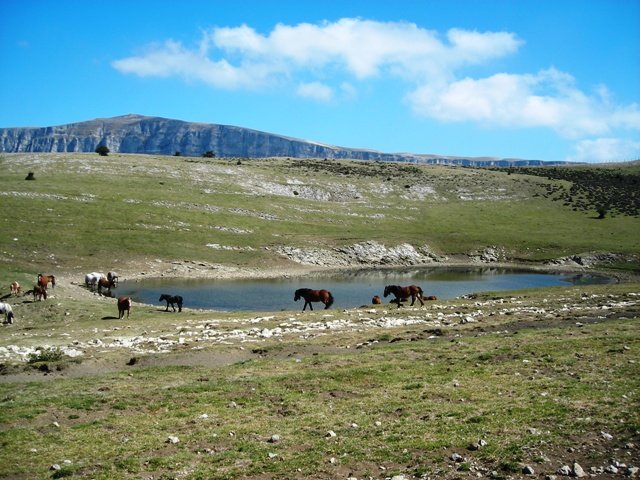 Saratsako  baltsa