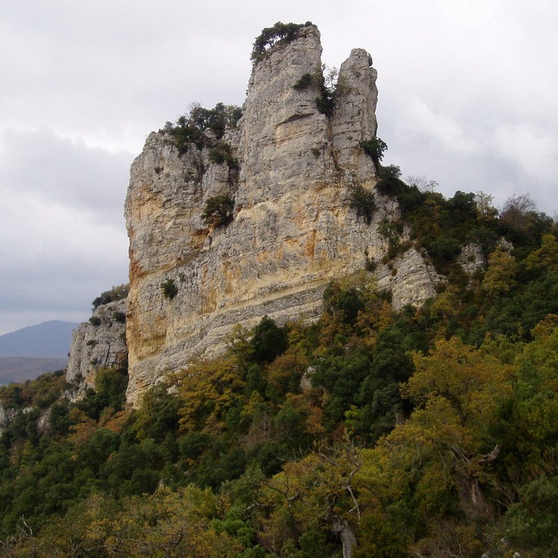 Aranbaltzako haitza