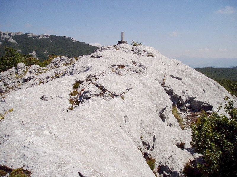Tontorra