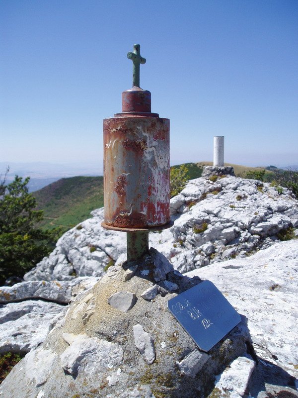 Buzoia