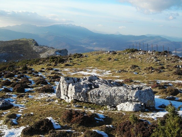 Baizako  zutarria