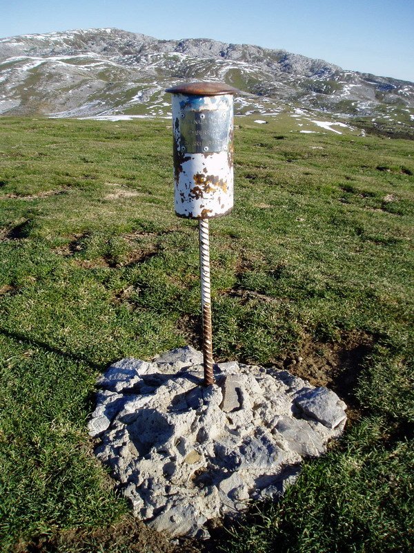 Errenagako buzoia