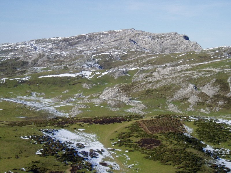Belokitik ikusita