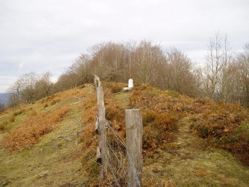 Tontorra