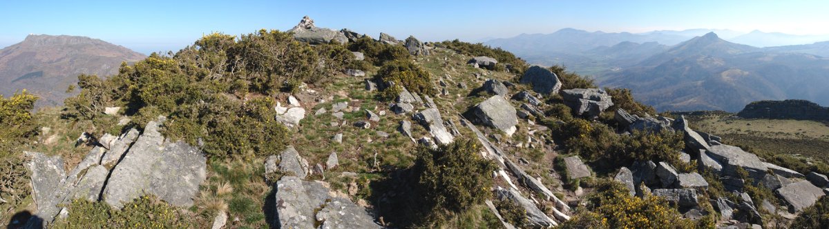 Tontorra