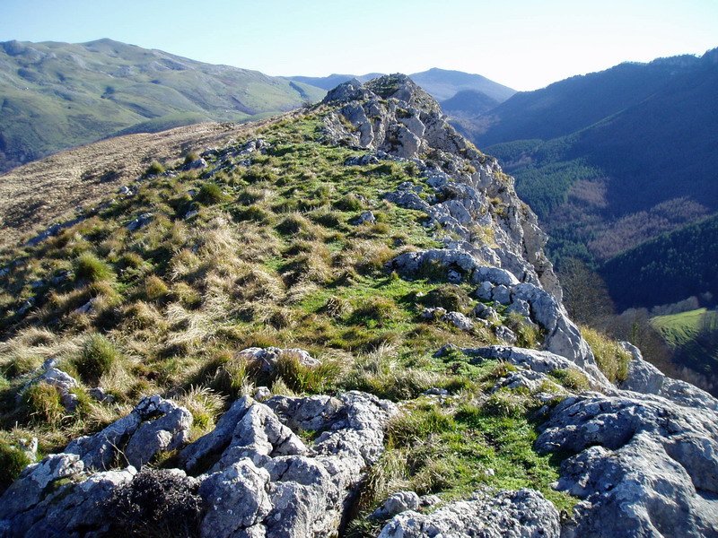 Tontorra