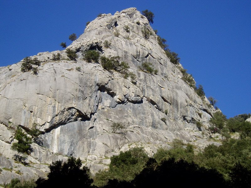Jentilbaratza