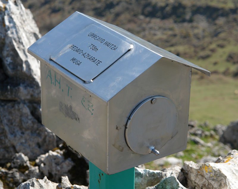 Buzoia