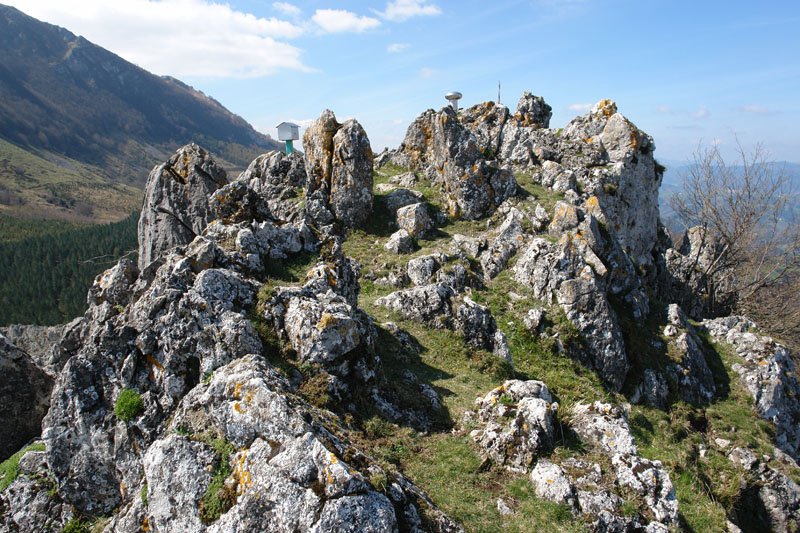 Tontorra