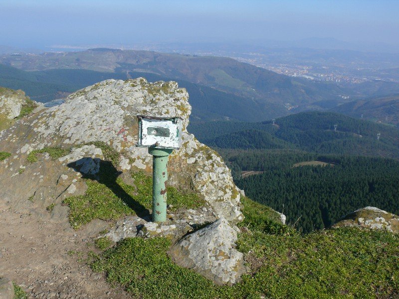 Buzoia