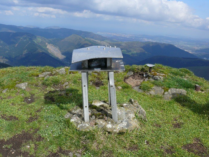 Buzoia