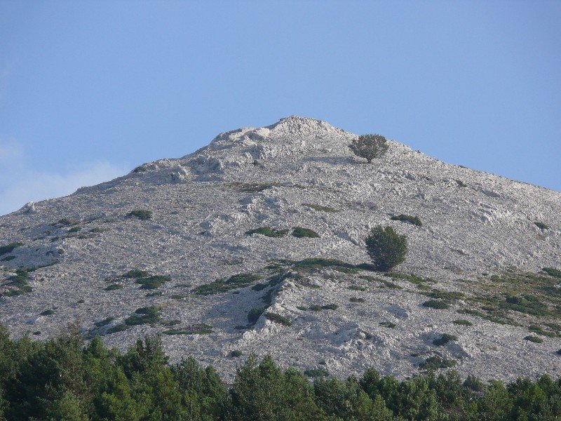 Allaitz