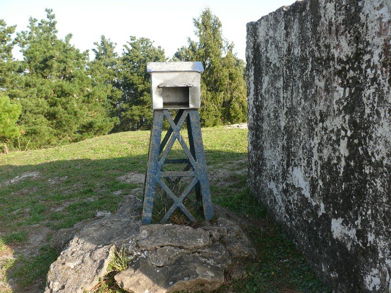 Buzoia