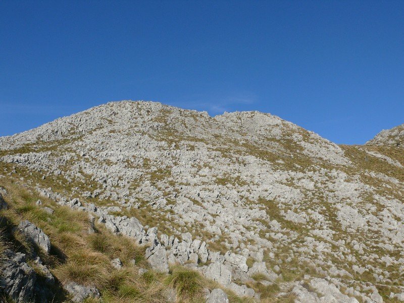 Tontorra