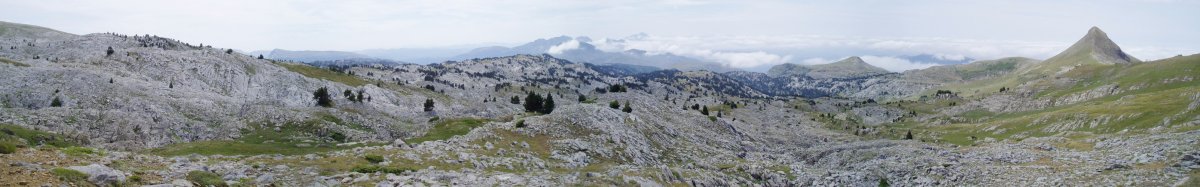 Larra