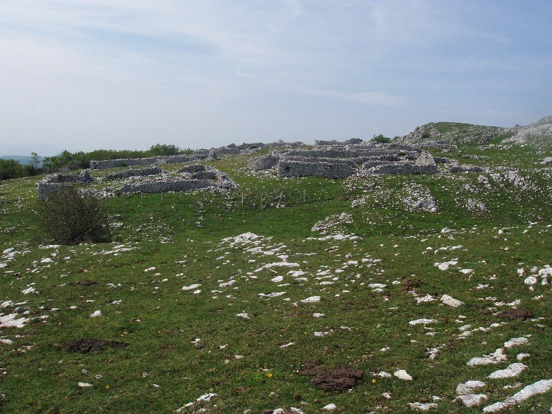 Borda zaharrak