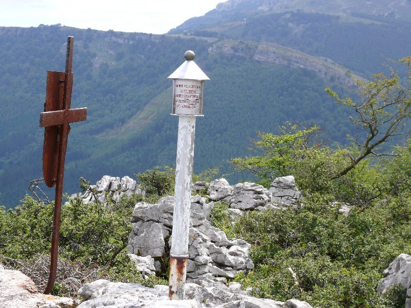 Buzoia
