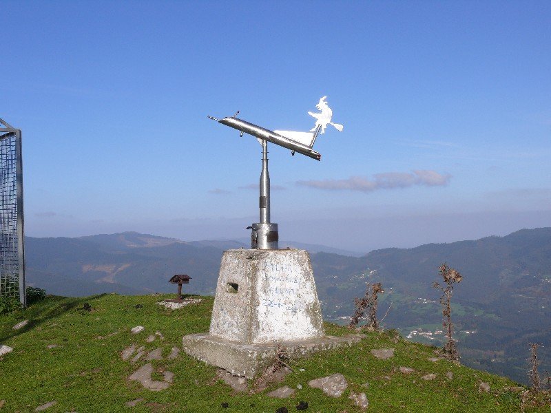Buzoia