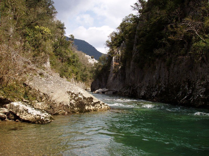 Arbaiunen barrena