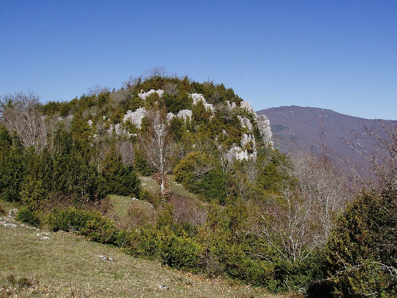 Bozporro