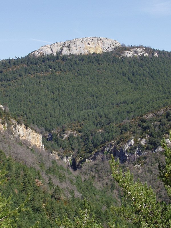 Aldu-Beortea
