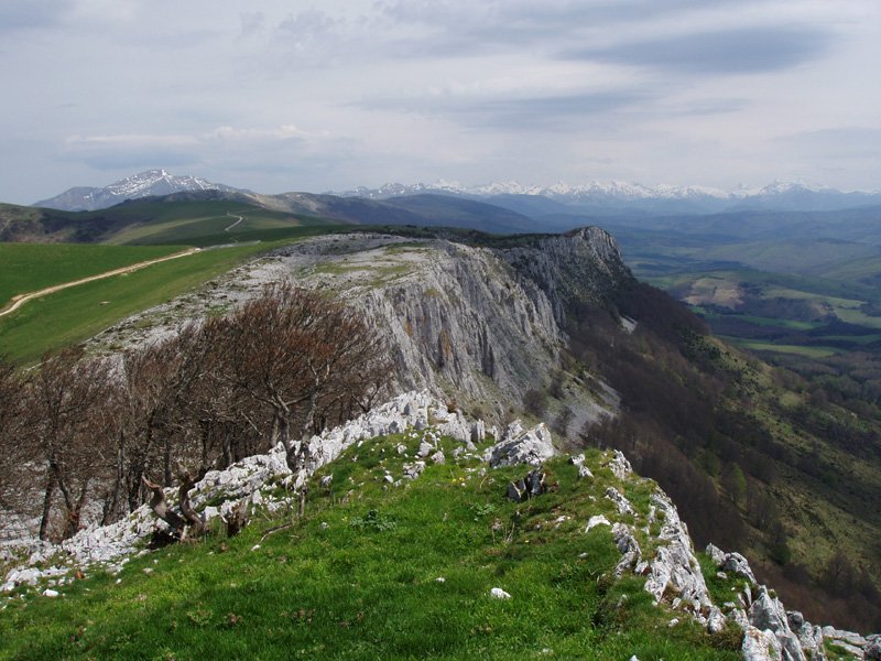 Arrondoa haitzetik
