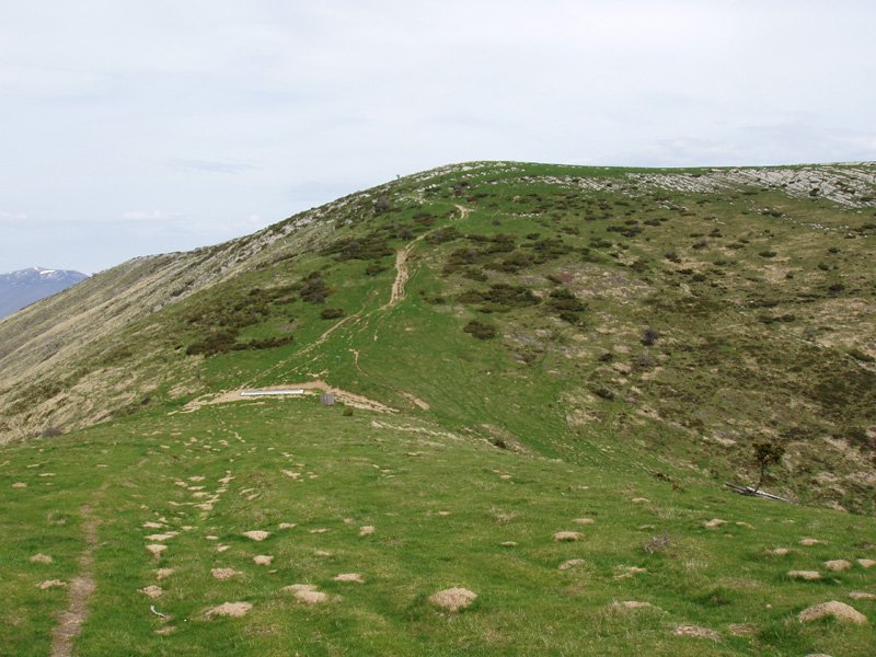 Auztarri