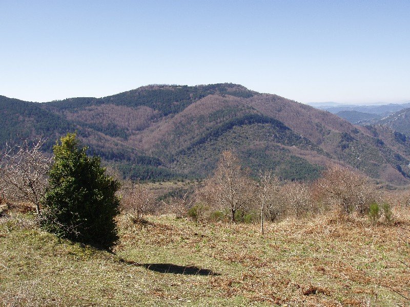 Baxa, iparraldetik