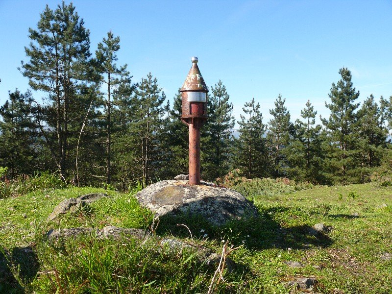 Buzoia