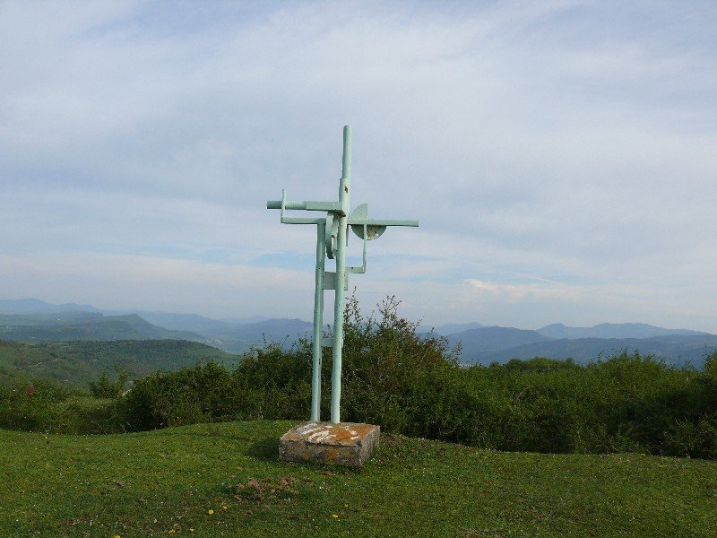 Buzoia