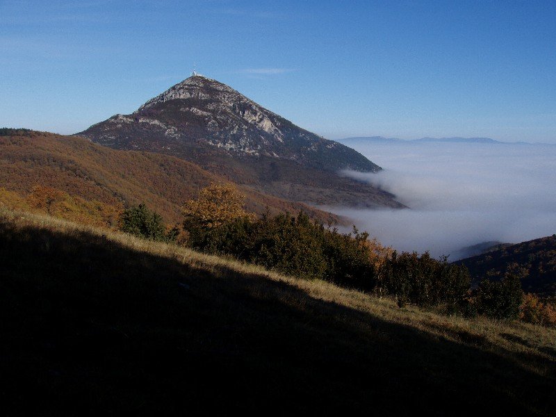 Higa, Izkotik