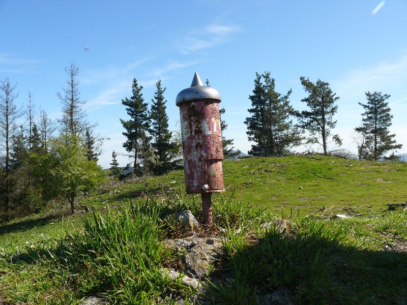 Buzoia
