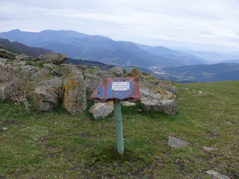 Buzoi Zaharra