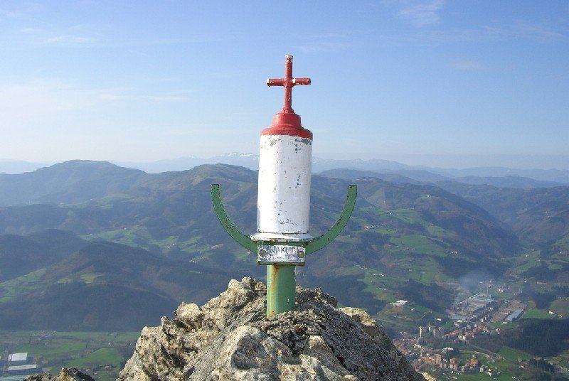 Buzoia