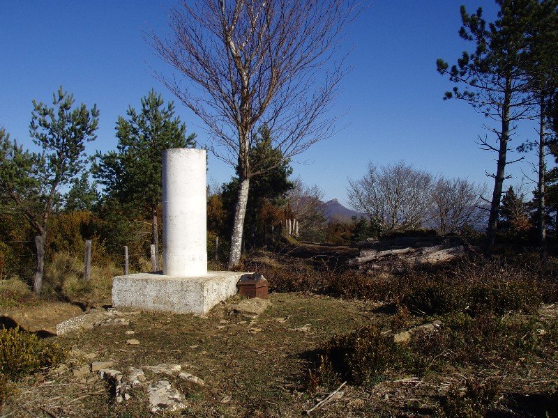Tontorra