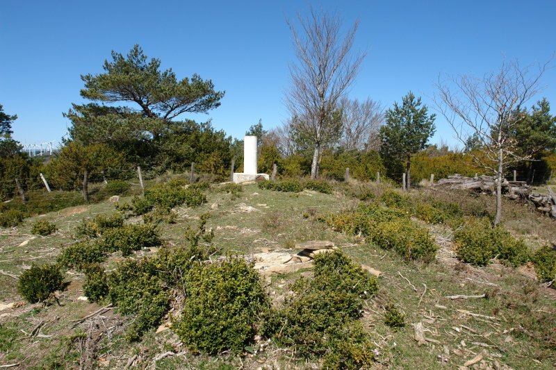 Tontorra