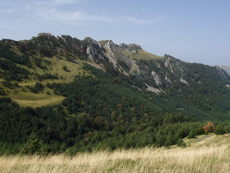 Larratza iparretik