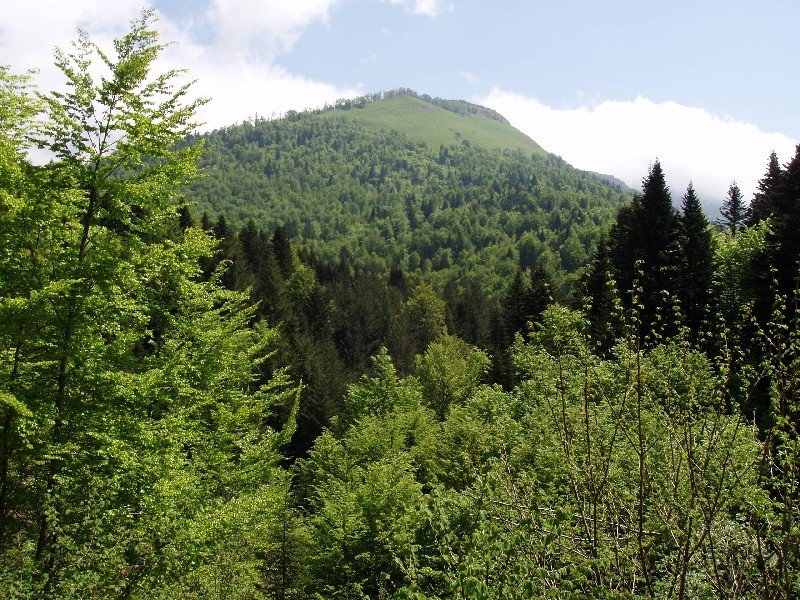 Ahuntzbide (1399m)