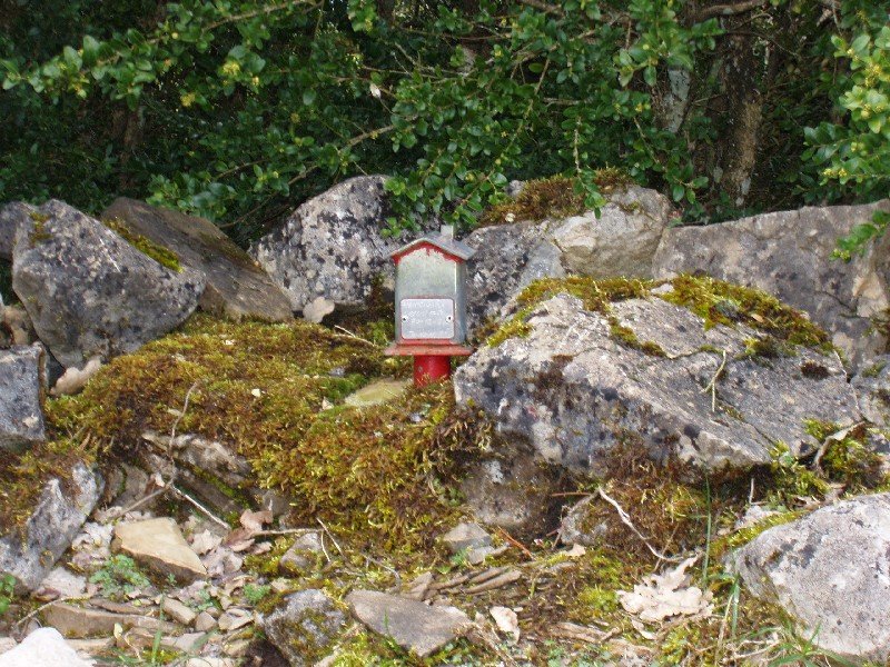 Buzoia