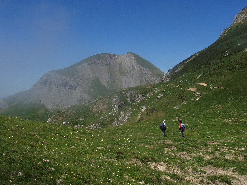 Belaiko lepotik