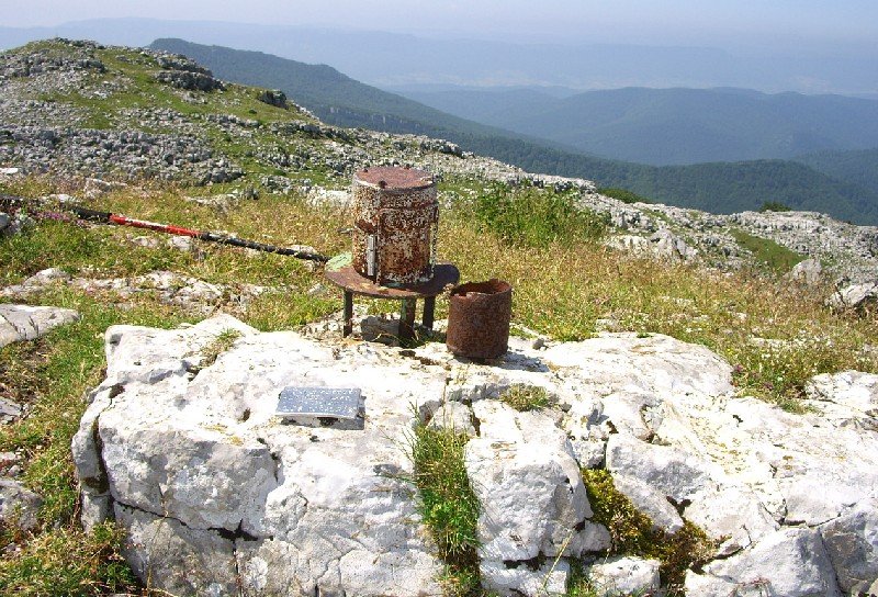 Buzoia