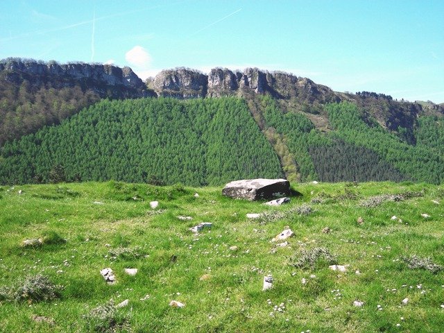 Argarbiko trikuharria , Sarastarriren parean 