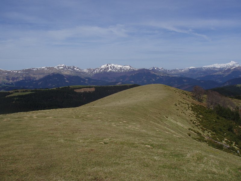 Gainaldea