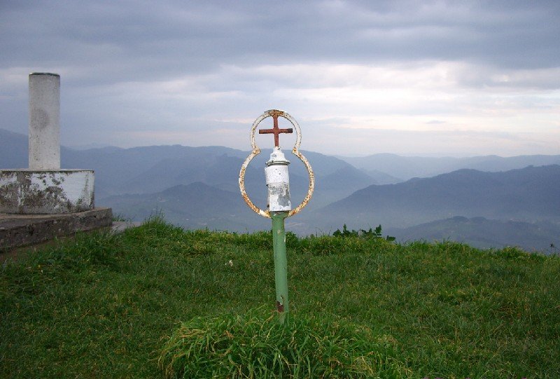 Buzoia