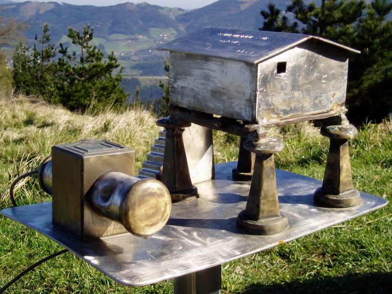 Buzoia