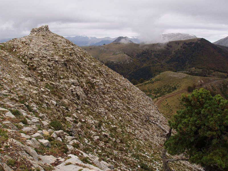 Tontorra