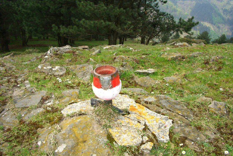 Buzoia