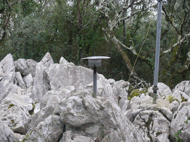 Buzoia