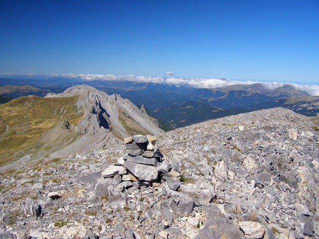 Gailurra