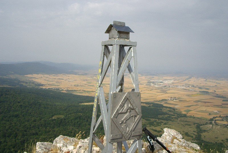 Buzoia